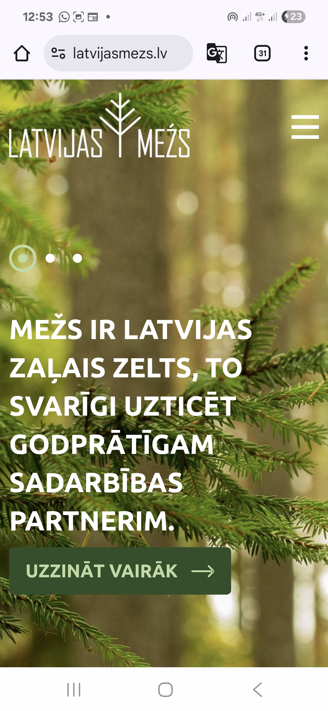 latvijasmezs